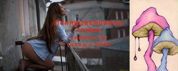 гидра Лабытнанги