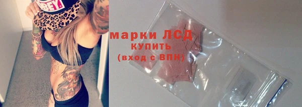 шишки Тавда