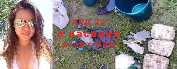 шишки Лагань
