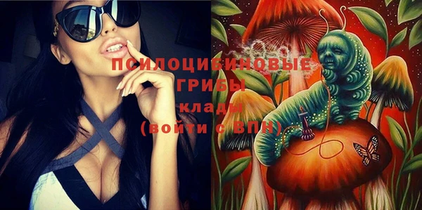 гидра Лабытнанги