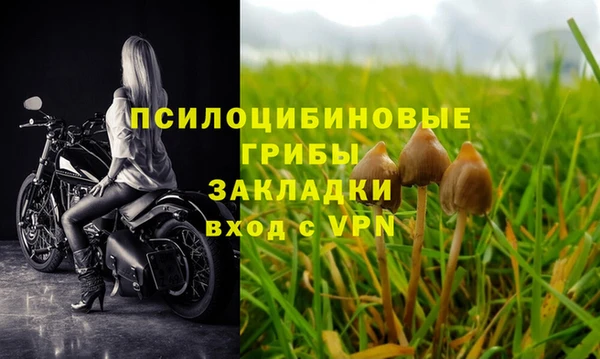 гидра Лабытнанги