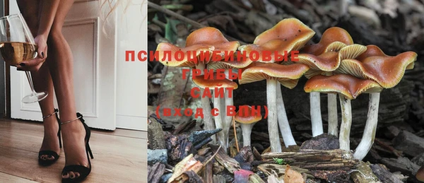гидра Лабытнанги