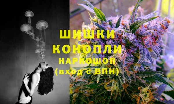 гидра Лабытнанги