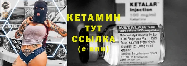 шишки Лагань
