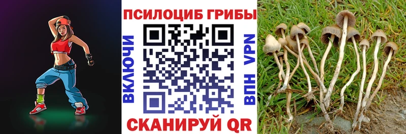 магазин продажи наркотиков  omg как зайти  Галлюциногенные грибы ЛСД  Сысерть 